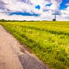 Derbyshire villagers fear UK's largest solar farm would 'urbanise countryside'