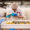 Latest vacancies in Derby including Birds Bakery