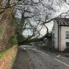 Storm Pia Derbyshire live weather updates as 60mph winds batter county