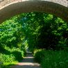Appeal after man seen exposing himself on the Tissington Trail