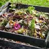 Derbyshire councillors fear foxes and badgers will run off with or knock over planned new food waste bins