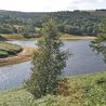 Teenage boy dies in horror crash at Peak District beauty spot