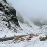 UK weather: Five inches of snow to fall in 200-mile stretch of Britain in next Arctic blast