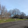 Derby City Council decision to sell public land on city streets under review
