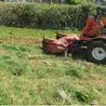 Following this lawnmowing trick will ensure you have a top quality garden