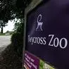 Twycross Zoo to charge for parking to support 'essential infrastructure improvements'
