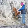 Incredible pictures show impact of freezing temperatures near Derbyshire border