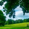 The 6 Derby parks named among the best in the UK