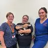 Cat reunited with owner after going missing on journey from Scotland to Ripley