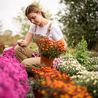 Woman vents frustration after neighbour criticises her wildflower-filled garden