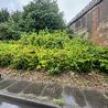 Bring back the &apos;Derby in Bloom&apos; hedge display and make us proud of our city