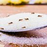 The household ingredient that can effectively eliminate ants from your home