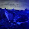 Dramatic images show overturned car after crash in Morley
