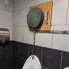 Pub introduces bizarre installation above urinal to help drunk punters