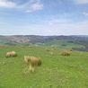 The peak district walk that takes in stunning views and ends at a cosy pub