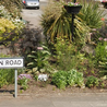 Man remains in critical condition after alleged assault near bar in Cresswell