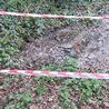 Darley Park sewage leak leads to toilet paper and excrement 'seeping out'