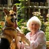 Son pays tribute to mum