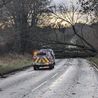 Storm Pia: Driver taken to hospital after winds cause tree to fall on car on A515 in Derbyshire