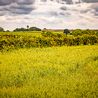 Council could seize land for 2