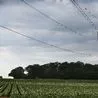 New 60km electricity power line with 50m-high pylons proposed