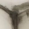 Hundreds report mould and damp problems in Derby council homes