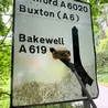 The viral sign-cleaning guy visits Derbyshire to tidy up the A6