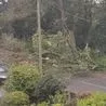 Derbyshire road closures due to Storm Lilian as strong winds hit county