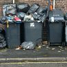 &apos;Rats and foxes&apos; plague Derby apartment block in 2-month wait for bins to be collected