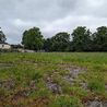 Derby City Council under fire over new homes plan on 'cherished' green space next to park
