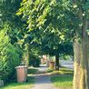 Higher charge for early adopters of Erewash garden waste bin collections