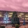 Family-run garden centre named as the &apos;best in Derbyshire&apos; at Christmas time