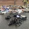 Derby City Council issues urgent waste warning to residents in city suburb as bin lorry catches fire
