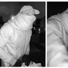 Urgent appeal to find man wearing Domino's Pizza hat after crowbar break-in at Derby home