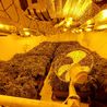Two arrested as cannabis farm discovered on main Derbyshire road