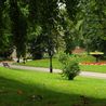 Man &apos;attacked with bat&apos; in Derby park after being approached by gang