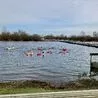 Explore Derbyshire's top outdoor swimming spots: From heated pools to natural lakes