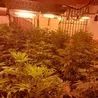 Police say &apos;spot the signs&apos; after major raid on town home